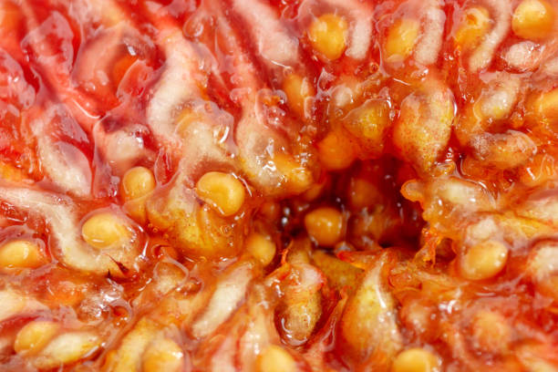 istock Ripe figs macro texture. Healthy mediterranean fig fruit. Tropical fruits 1453325222