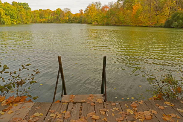 Autumn lake water steps and forest picturesque landscape, Sofievka park, Uman, Ukraine.