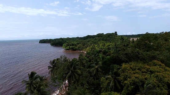 Aerial view. Palm trees on the coast of the Atlantic Ocean. Gulf of Guinea. Equatorial Guinea. Central Africa.