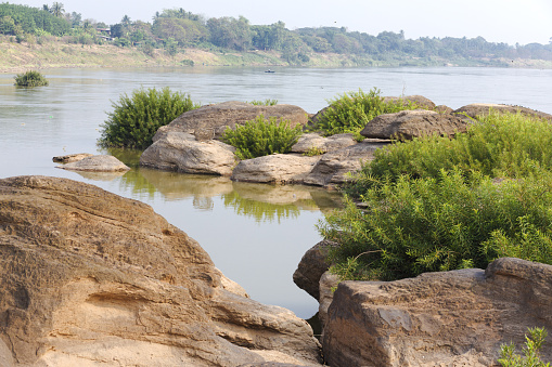 Rocks and plants at riverside at Mekong river in early morning and sunrise  at border to Laos in morning with haze and smog in air at border to laos north of Nakhon Phanom.