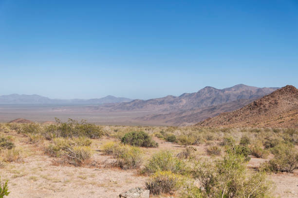 istock joshua tree national park california landscape 1453327886