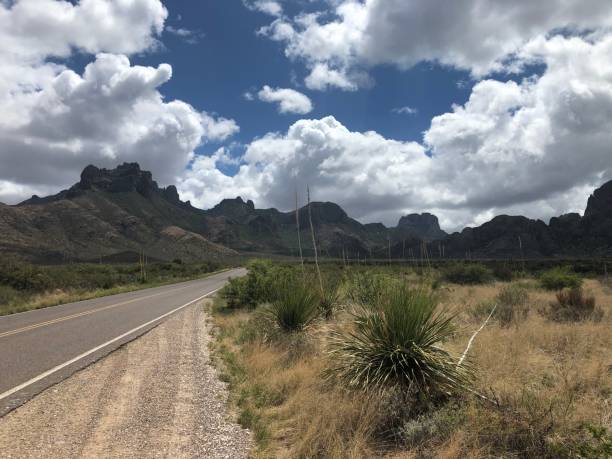 istock Big bend National park, Texas - long road 1453332373