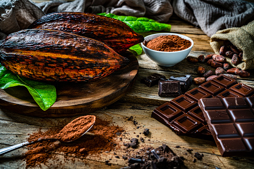 Still life of organic cocoa pods, cocoa beans cocoa powder shot on rustic wooden table. High resolution 42Mp studio digital capture taken with SONY A7rII and Zeiss Batis 40mm F2.0 CF lens