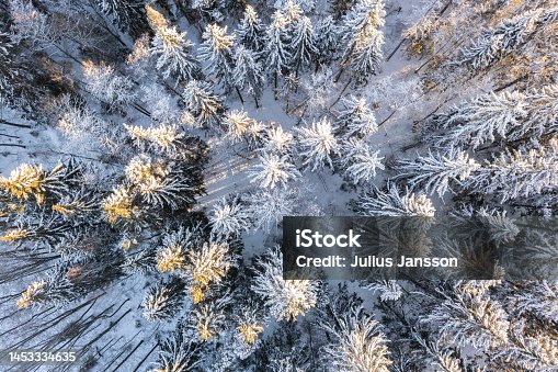 istock Aerial view to snowy forest in Nuuksio national park in Finland 1453334635