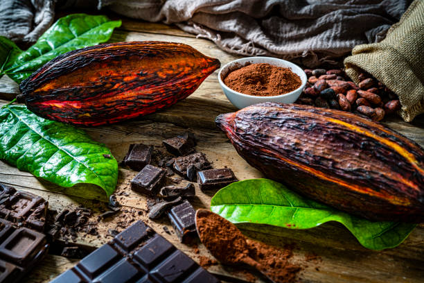 istock Dark chocolate bars, cocoa pods and cocoa powder on rustic wooden table. 1453334901