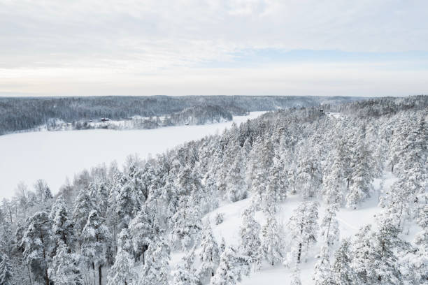 Aerial view to snowy forest in Nuuksio national park in Finland stock photo