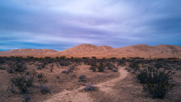 Dramatic cloudscape over Kelso Dunes Trail stock photo