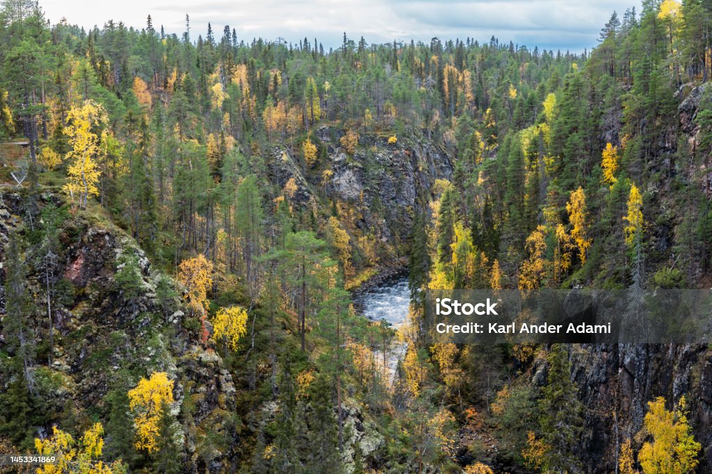 Water flowing in rapids in a canyon in autumnal Oulanka National Park, Finland Water flowing in rapids in a canyon in autumnal Oulanka National Park, Northern Finland Autumn Stock Photo