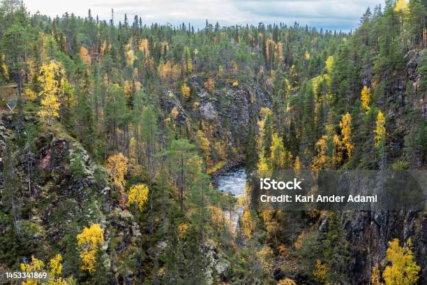 Water Flowing In Rapids In A Canyon In Autumnal Oulanka National Park Finland Stock Photo - Download Image Now