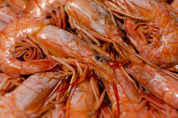 istock Healthy diet food: boiled wild tiger shrimps close-up 1453343923