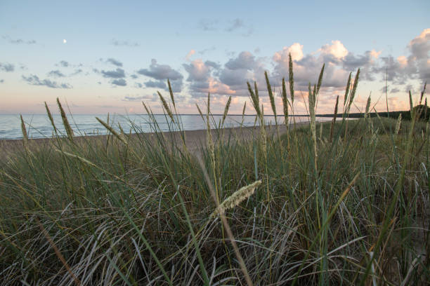 istock Baltic Sea Shoreline seen from above in Estonia 1453346538