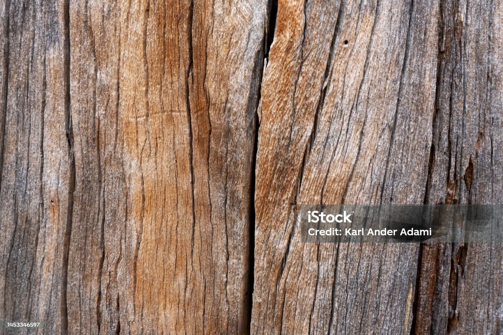 A pattern of an old dead Pine tree trunk in Oulanka National Park A pattern of an old dead Pine tree trunk in Oulanka National Park, Northern Finland Abstract Stock Photo