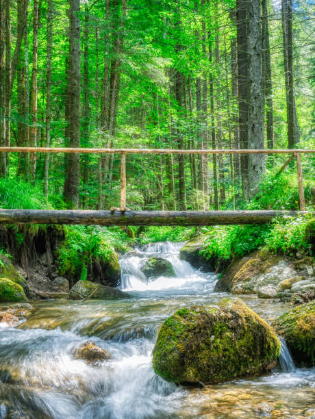 A bridge over a small river.