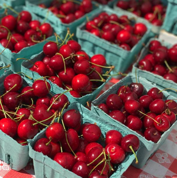 istock Farmers Market Cherries 1453347612