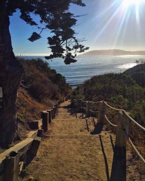 istock California Pismo Beach 1453347689
