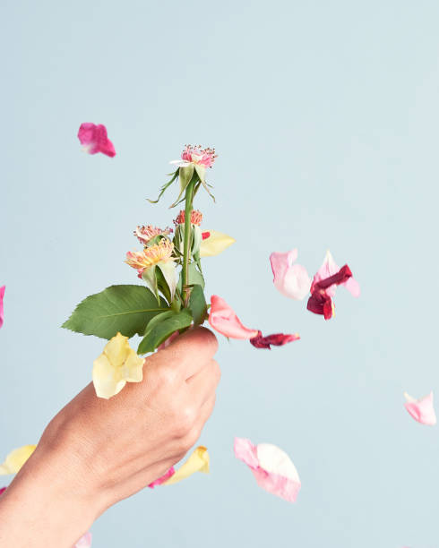istock hand holding a rose with no petals isolated 1453347790