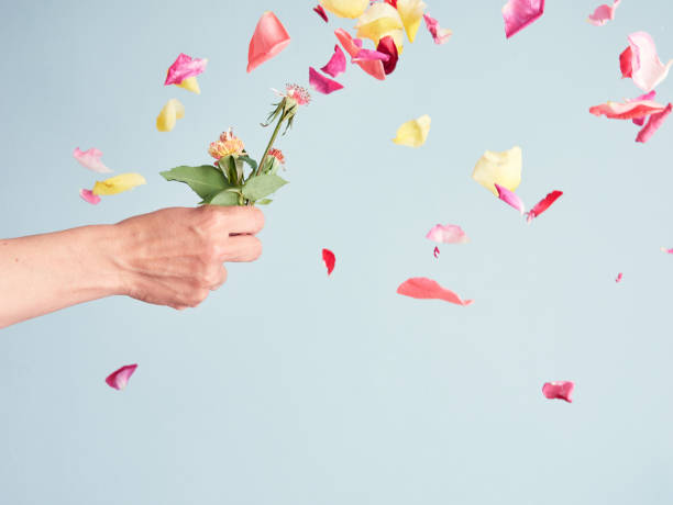 istock hand holding a flower with no petals, isolated on light blue background 1453347793