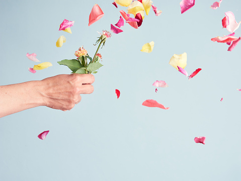 hand holding a flower with no petals, colorful petals falling on the background