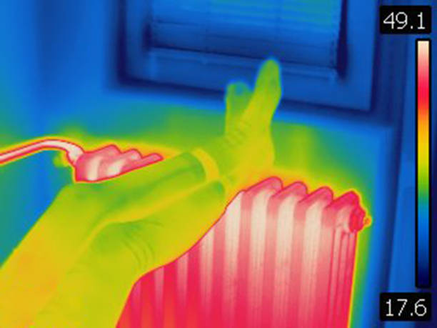 Image is taken with Flir T420 infra red camera. Each color represents different temperatures, as is shown on spectrum scale on right side of image.