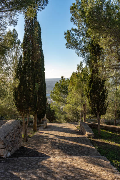 istock Rural cobblestone road at sunset 1453352500