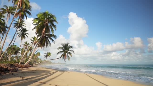 Tilted palm trees at the beautiful tropical beach. Waves of turquoise sea on the sandy shore