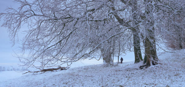 Man walking his dog on the South Downs on a cold snowy day