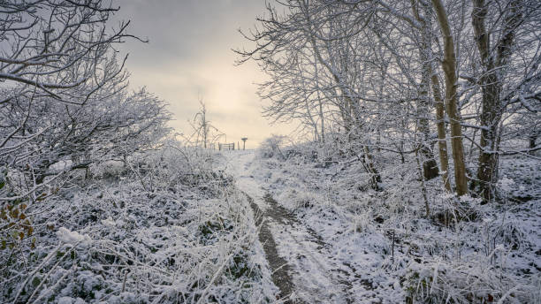 Footpath through the countryside on a cold snow winter day