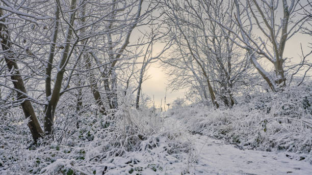 istock Footpath through the countryside on a cold snow winter day 1453356326