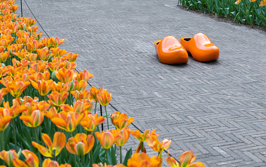A pair of orange traditional Dutch wooden clogs and tulips in Netherlands