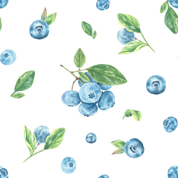 istock Blueberries seamless pattern. Watercolor branch with berries blueberry and leaves on white background hand-painted in botanical style 1453357314