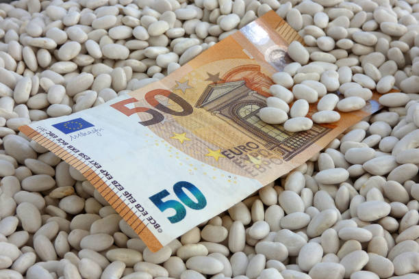 istock white beans in a bowl and 50 euros bills on it, white bean prices increased. 1453358384
