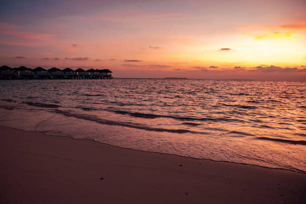 Sunset at Tropical Island. Relax paradise, Maldives. Tranquil closeup calm sea water waves with palm trees. Beautiful Panorama, Summer vacation, holiday amazing nature. Tropical island beach landscape exotic shore coast.