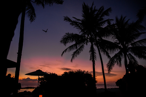 Romantic colorful sunset at the beach with palm tree silhouette on tropical island in the Maldives