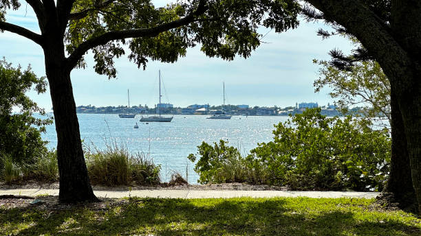 istock Bay of water view from park 1453359466