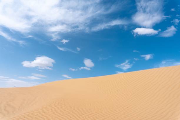 istock Beautiful view of cloudscape with a blue sky over a soft sand dune on a sunny day 1453360193