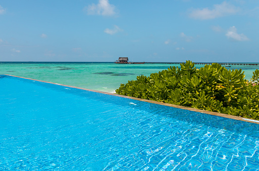 Maldives infinity swimming Pool at the beach with turquoise lagoon