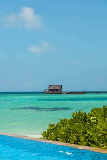 istock Maldives infinity swimming Pool at the beach with turquoise lagoon 1453360226