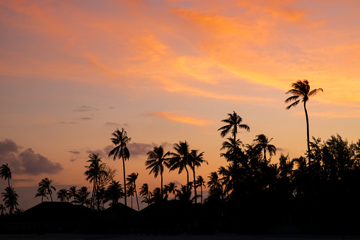 Colorful sunset at the beach with water reflection on tropical Maldives island with palm trees