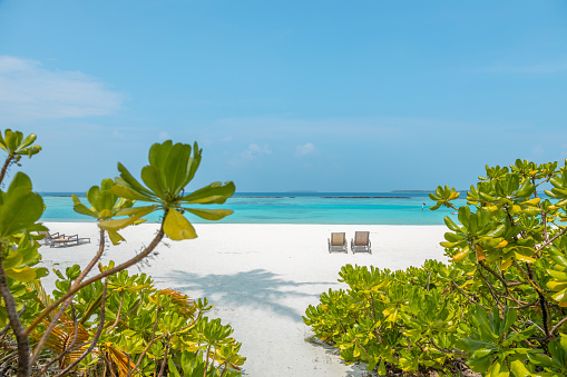 Maldives island sun beds by the beach with palm trees in calm lagoon