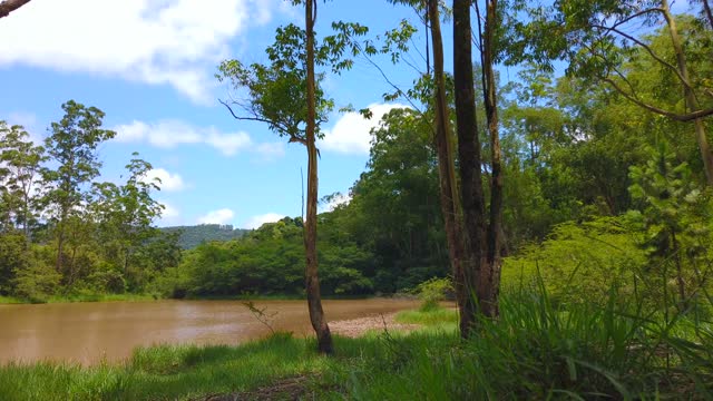 Forest in Brazil timelapse. Blue sky with a few clouds