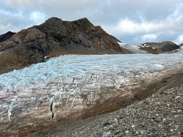 istock close up view of Svalbard's harsh terrain 1453364406