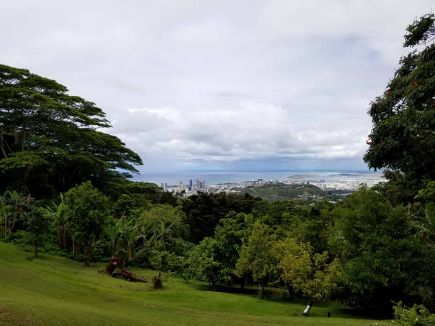 istock Field in the mountain with view of Honolulu 1453366930