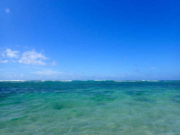 istock Waves roll in from Pacific Ocean off Makalei Beach 1453366950