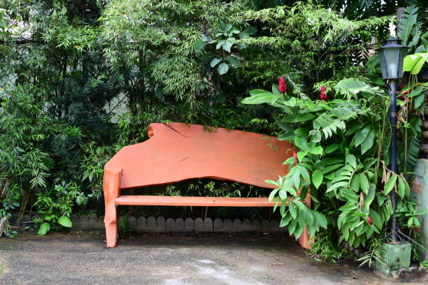 banc de jardin avec végétation et fleurs autour d’un endroit romantique et calme - dirty bench empty park photos et images de collection