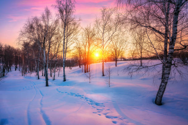 istock Colorful winter sunset in countryside 1453374471
