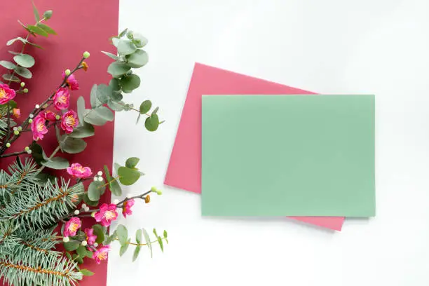 Pink plum blossoms, flowers on fresh eucalyptus and fir twigs. Decorative corner element, flat lay on white background. Chinese new year composition. Copy-space, place for greeting text, message.