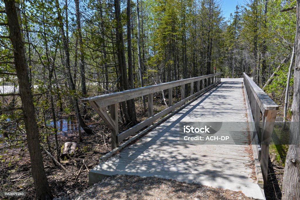 View at forest path walk in Bruce Peninsula national park neat Tobermory village in Ontario province, Canada Animal Mouth Stock Photo