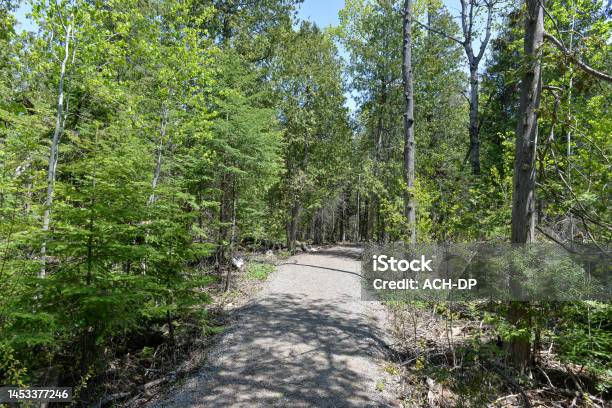 View At Forest Path Walk In Bruce Peninsula National Park Neat Tobermory Village In Ontario Province Canada Stock Photo - Download Image Now