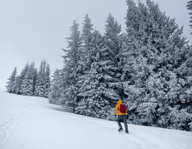 istock Lonely mountaineer dressed bright orange softshell jacket going up the snowy hill between spruces trees. Active people concept image on Velky Krivan, SLovakian Tatry. 1453381809