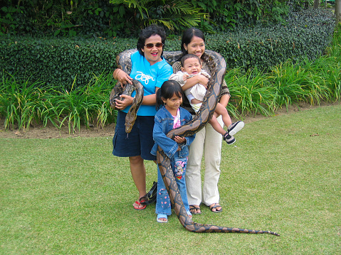 Bedugul, Bali, Indonesia - May 19, 2005.\nAn Indonesian family holding a huge Python snake in the gardens of Pura Ulun Danu Temple or Pura Ulun Danu Beratan or Lake Beratan temple in Bedugul in northern Bali, Indonesia.